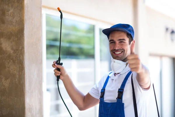 Princeton Wasp Removal