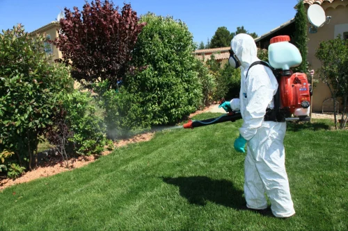 Princeton Mosquito Control