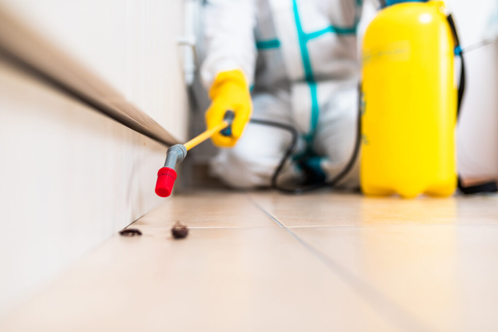 Princeton Cockroach Experts