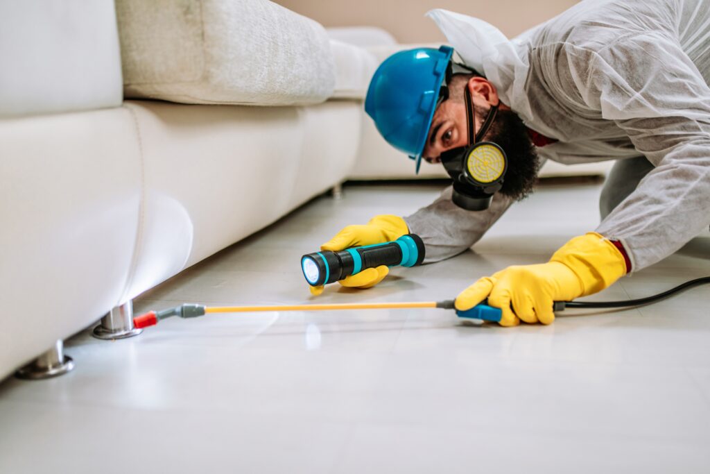 Princeton Termite Control