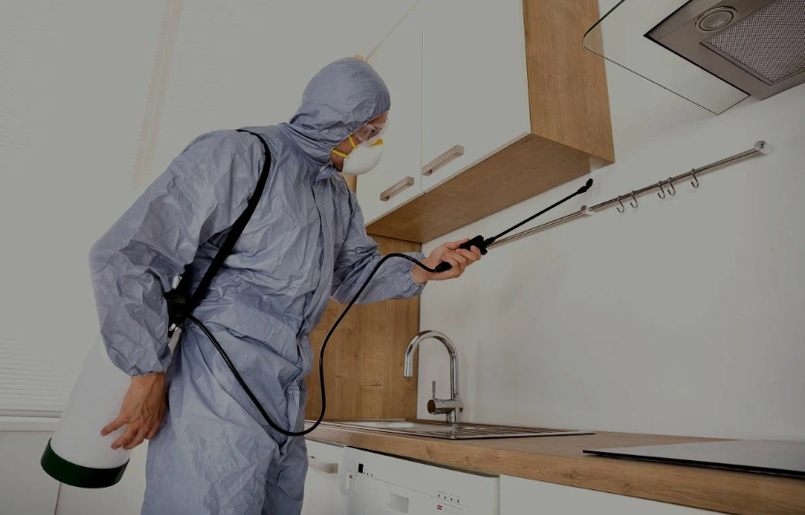 Princeton pest managment